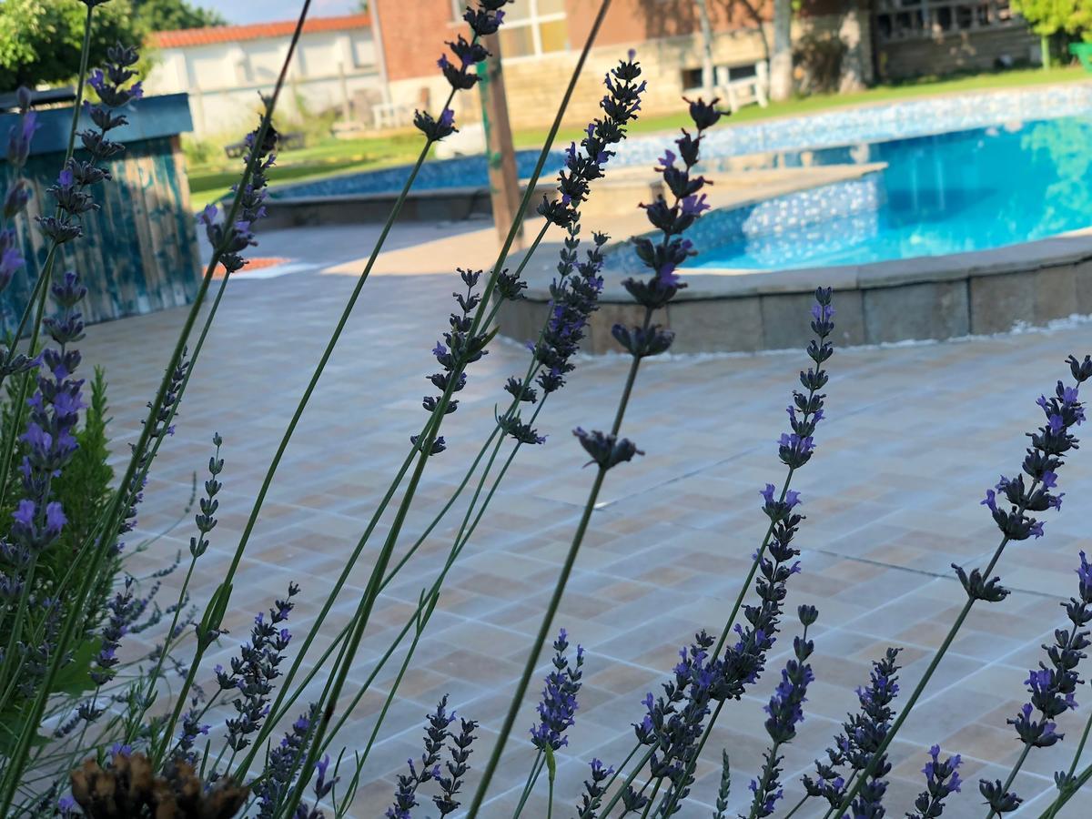 Galeria In The Garden Hotell Plovdiv Eksteriør bilde